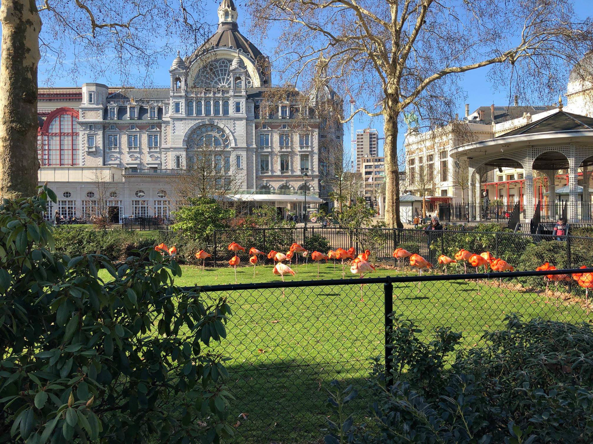 Sint-Martinus den XIIde - Zoo Antwerpen Kapoenen